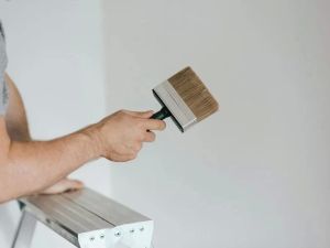 Tips for Choosing the Right Paint Finish for Your Walls
