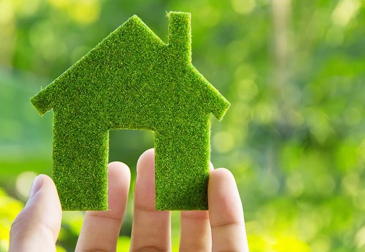 Finding the Best Local Suppliers for Eco-Friendly Home Improvement Materials