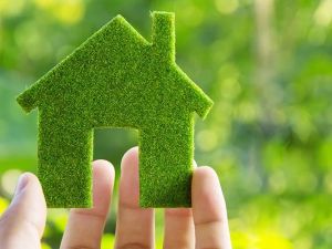 Finding the Best Local Suppliers for Eco-Friendly Home Improvement Materials